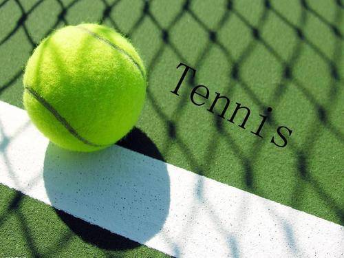 力于法甲的 力于法甲的