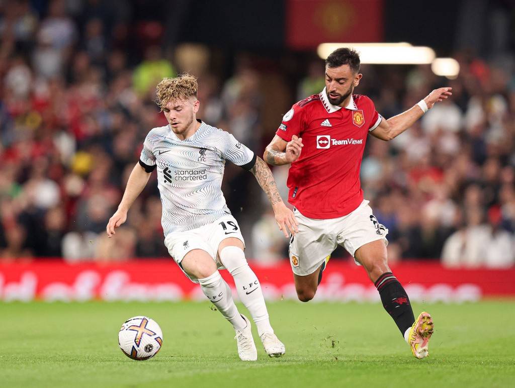 再洗牌埋下 再洗牌埋下